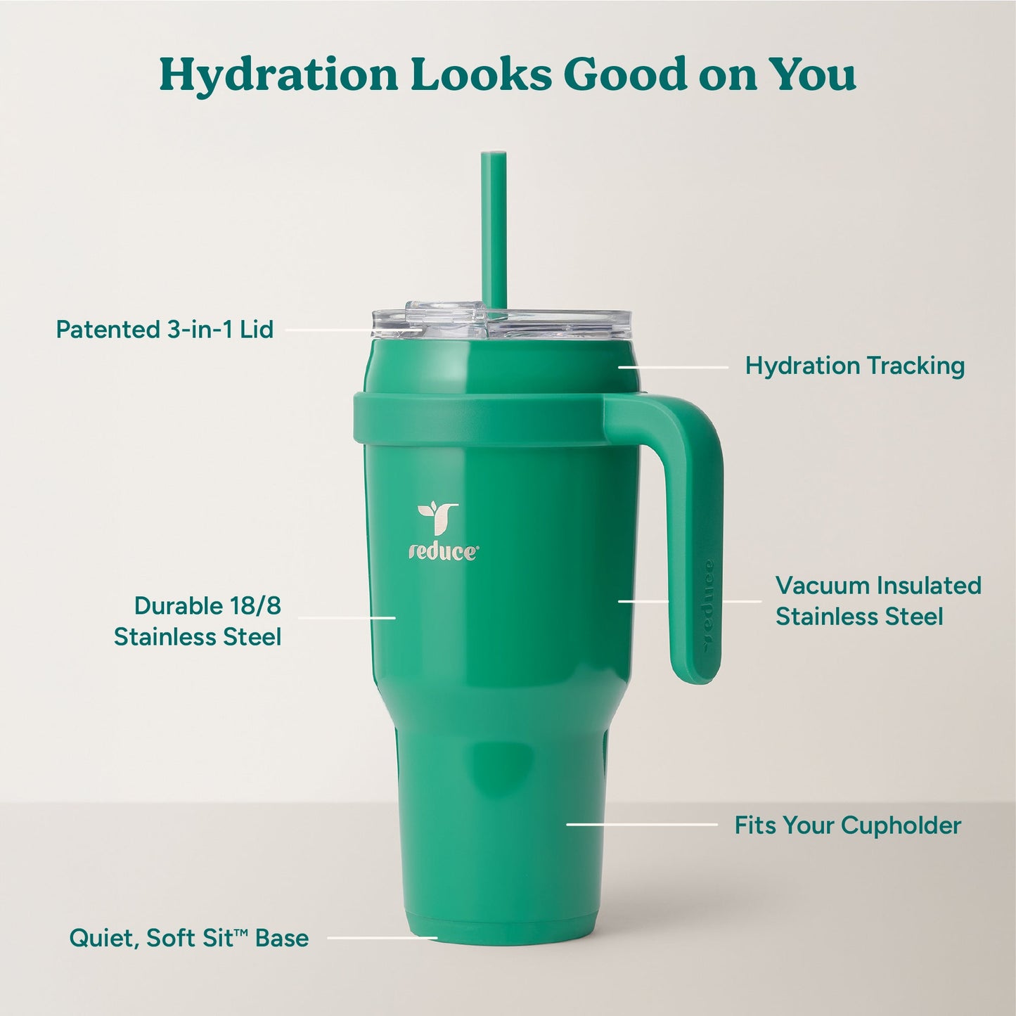 cold1-40-oz-q0 Cold1_40oz_PalmLeaf_Infographic_2.jpg