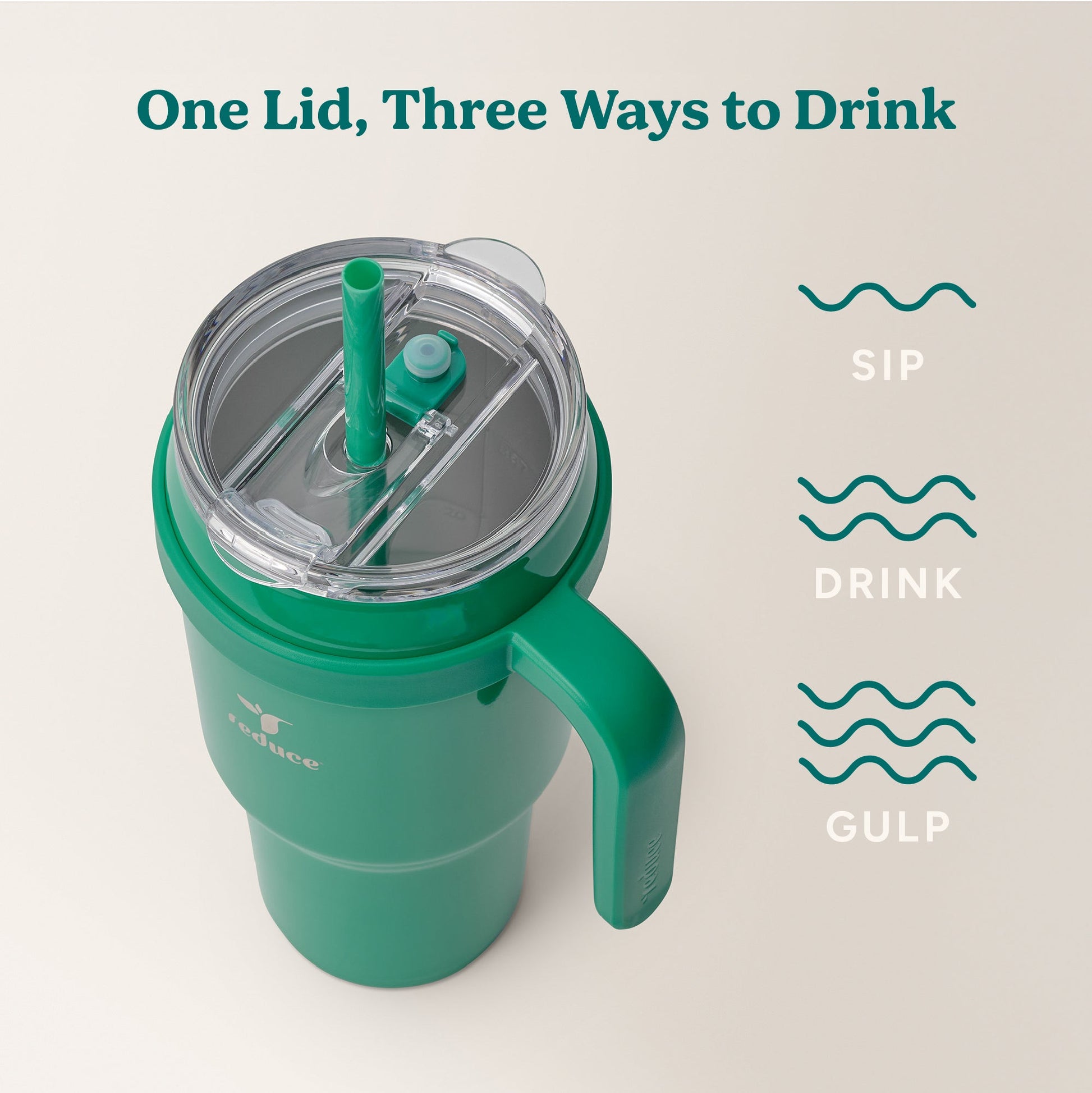 cold1-40-oz-q0 Cold1_40oz_PalmLeaf_Infographic_3.jpg