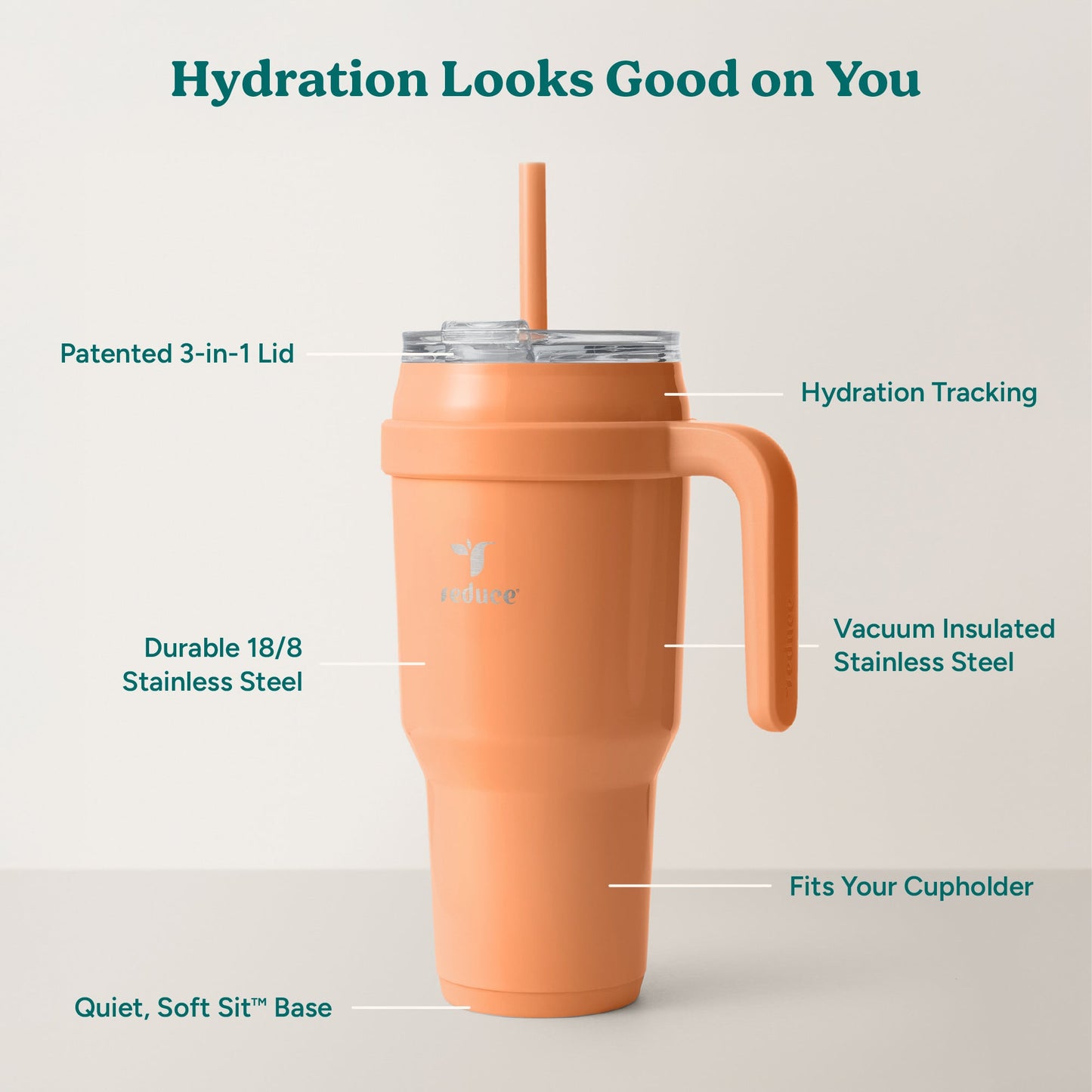 cold1-40-oz-q0 Cold1_40oz_Papaya_Infographic_2.jpg
