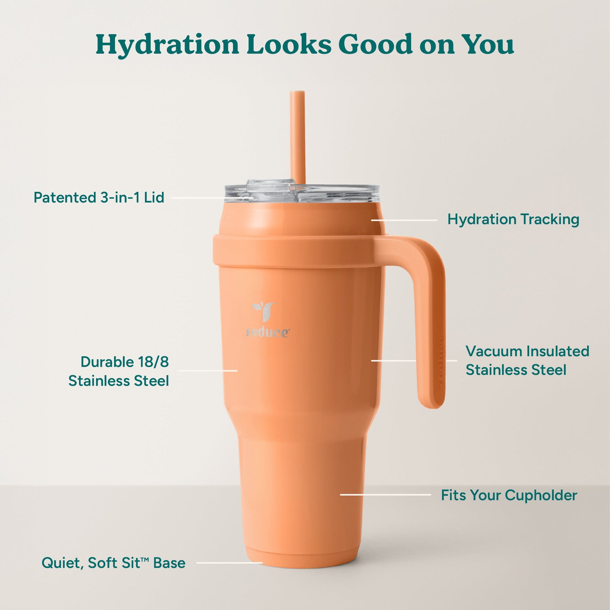 cold1-40-oz-q0 Cold1_40oz_Papaya_Infographic_2.jpg