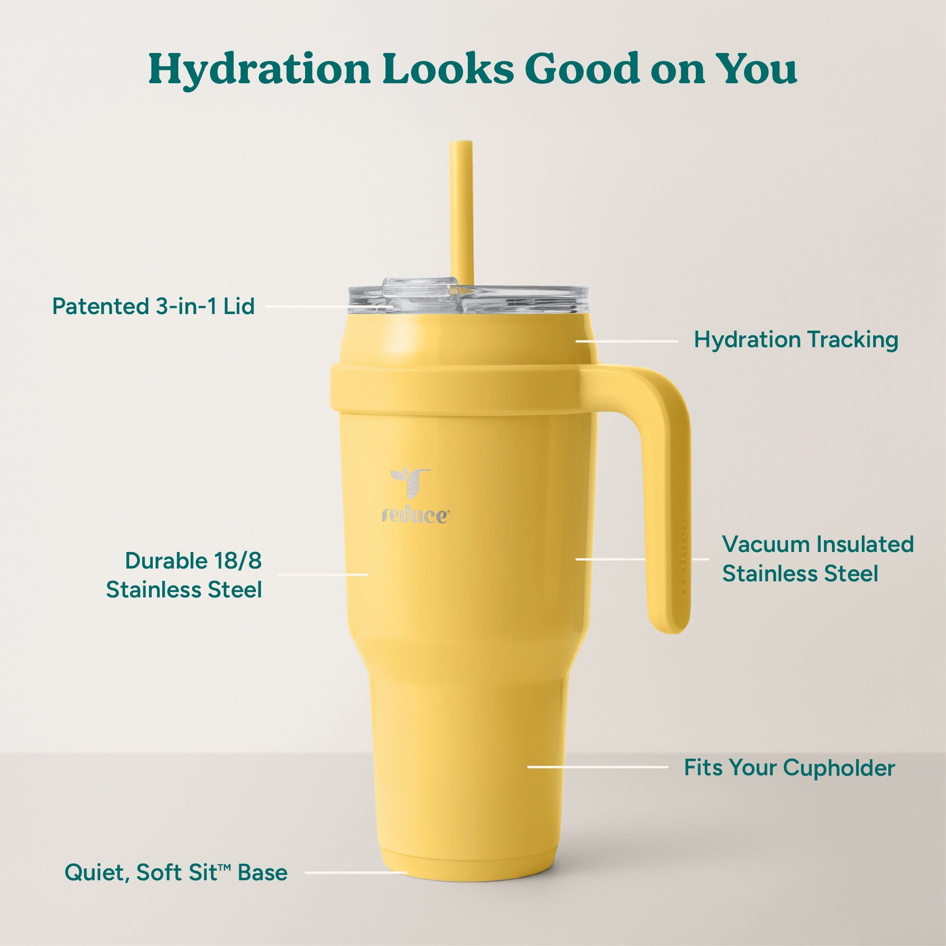 cold1-40-oz-q0 Cold1_40oz_Pineapple_Infographic_2.jpg